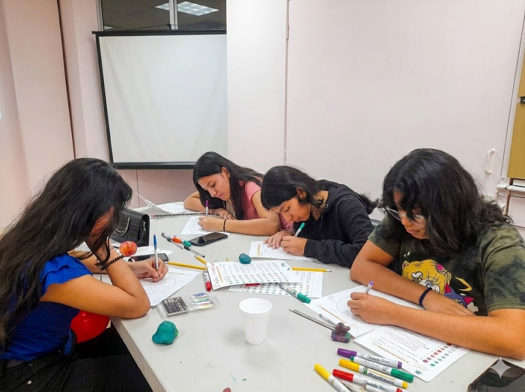 Becas STEM