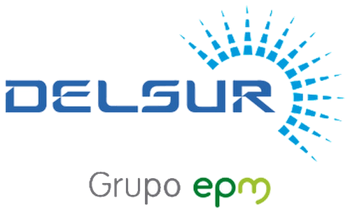 Delsur